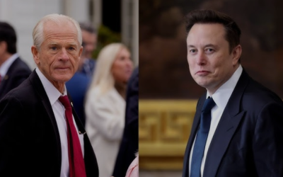 Elon Musk: ‘Moron’ Navarro ‘Dumber Than a Sack of Bricks’